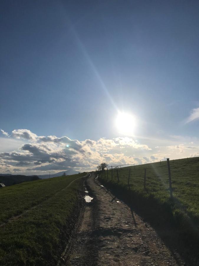 Willa Dalia Rabka Exteriör bild